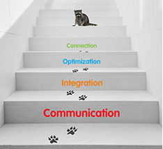 Criação de comunicação visual em ambientes.