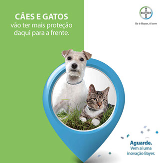 mkt-digital-directcom_Bayer_Seresto_Teaser-email-marketing